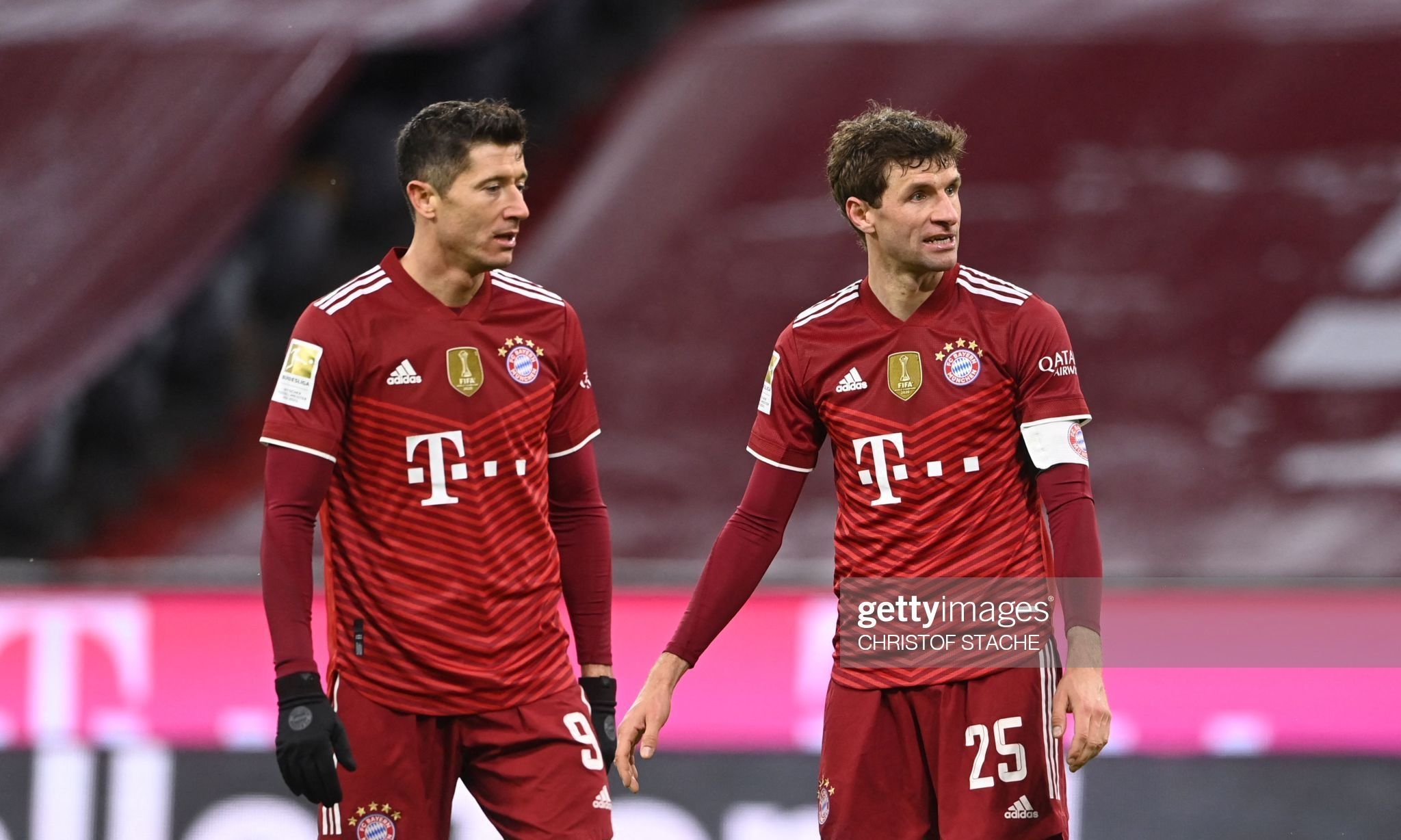 山茶油精炼设备 植物油脂成套设备